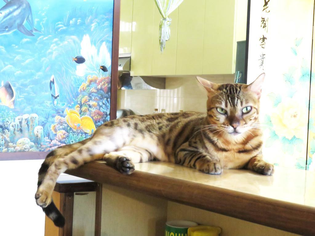 Tou Cheng Whale Watching Homestay Toucheng Esterno foto